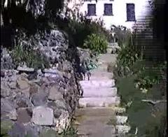 Phoenie & Oso 2.mp4
